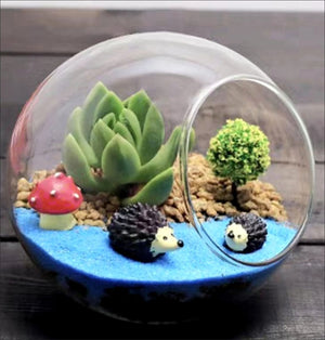 Angle Cut Round Glass succulent Terrarium Jar