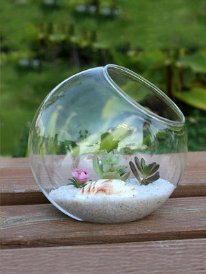 Angle Cut Round Glass succulent Terrarium Jar