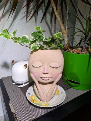 Head Face Planters Painted Plants Flower Pots Succulents Resin Planter Face Pot With Hole on sale - SOUISEE