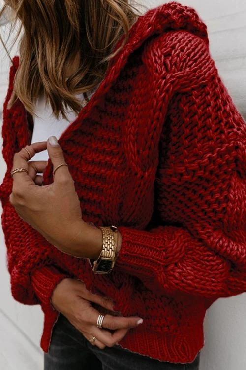 Oversized Braided Knitted Chunky Sweater Hoodie Cardigan Sweater Jacket on sale - SOUISEE