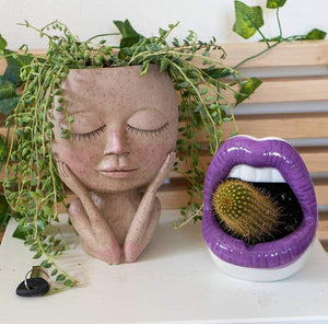 Head Face Planters Painted Plants Flower Pots Succulents Resin Planter Face Pot With Hole on sale - SOUISEE